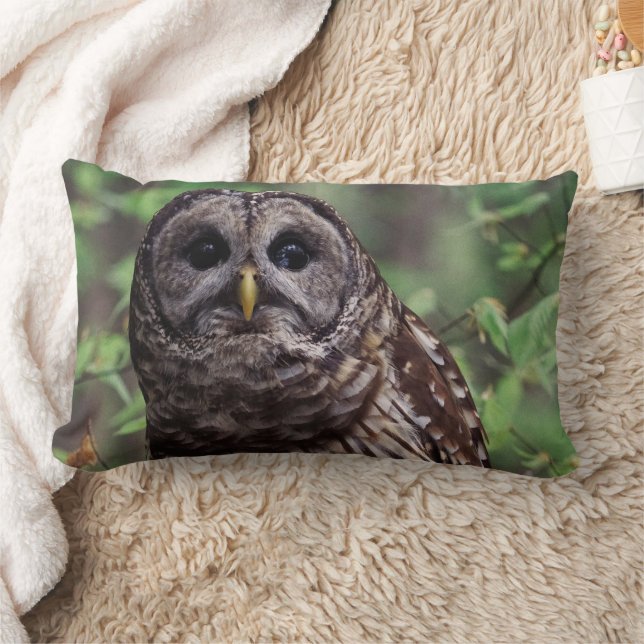 Almofada Lombar Barred Owl (Cobertor)