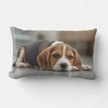 Beagle Cute