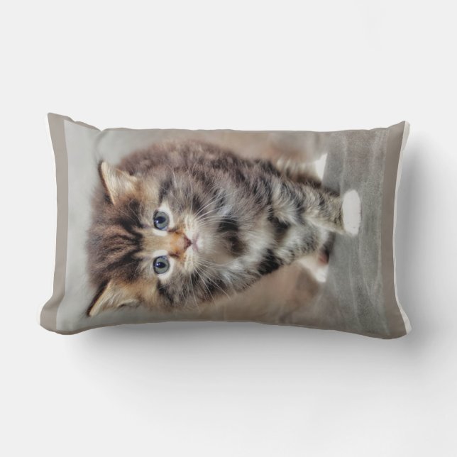 Almofada Lombar Bebê doce e doce Kitten (Frente)