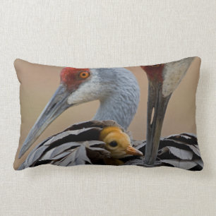 Almofada Lombar Bebê Sandhill