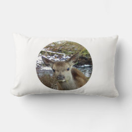 Almofada Lombar Bebê Versível