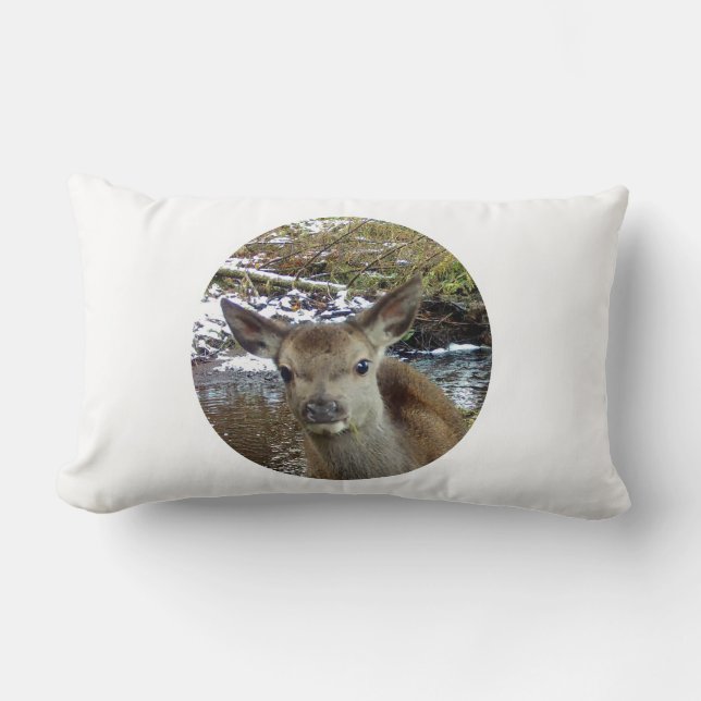 Almofada Lombar Bebê Versível (Frente)