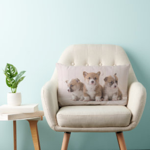 Almofada Lombar Bebês Mais Pobres 3 Bebês-Corgis