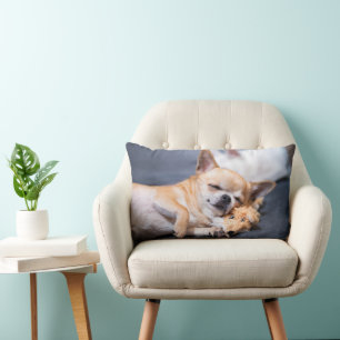 Almofada Lombar Bebês Mais Pobres Cão Chihuahua de cabelos verme