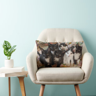 Almofada Lombar Bebês Mais Pobres Gatinhos Pretos e Brancos