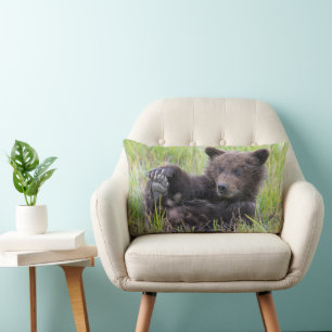 Almofada Lombar Bebês Mais Pobres Jogo De Urso Castanho