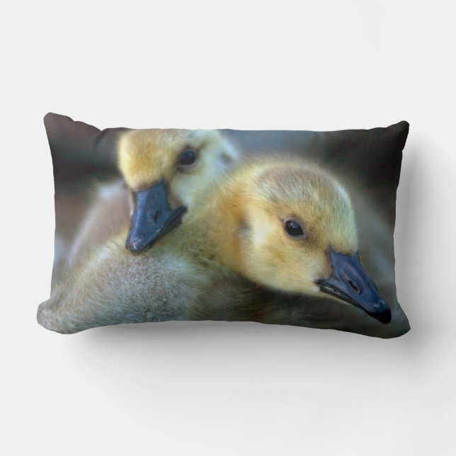 Almofada Lombar Beira do Lago (Frente)