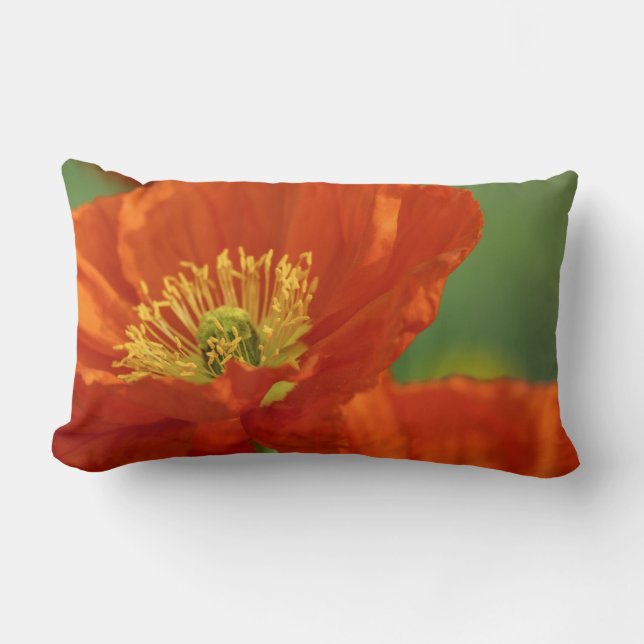 Almofada Lombar Belo papa vermelho (Frente)