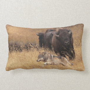 Almofada Lombar Bisonte, fêmea, & lobo de Bull