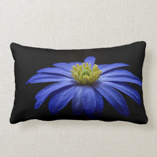 Almofada Lombar Blue Daisy Gerbera Flower em preto