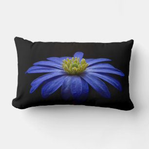 Almofada Lombar Blue Daisy Gerbera Flower em preto