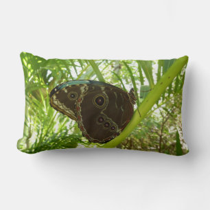 Almofada Lombar Blue Morpho Butterfly - Fotografia da natureza tro