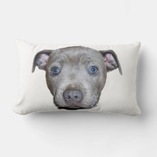 Almofada Lombar Blue Staffordshire Bull Terrier Puppy Face, Branco