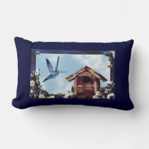 Bonito Hummingbird, Birdhouse e Blueberry