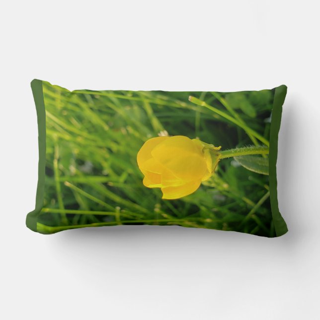 Almofada Lombar botão (Frente)