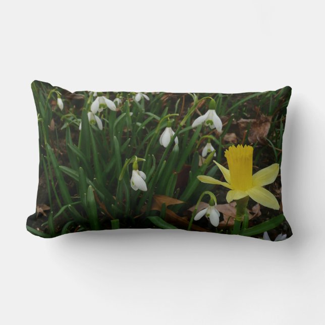 Almofada Lombar Botas de neve e Daffodil Primavera Floral (Frente)