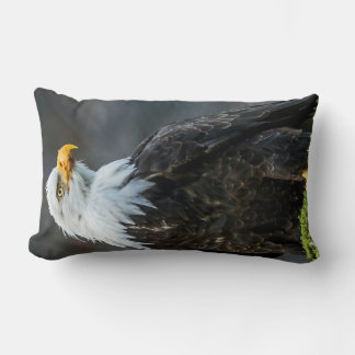 Almofada Lombar Bovinos americanos em todo o Travesseiro natural