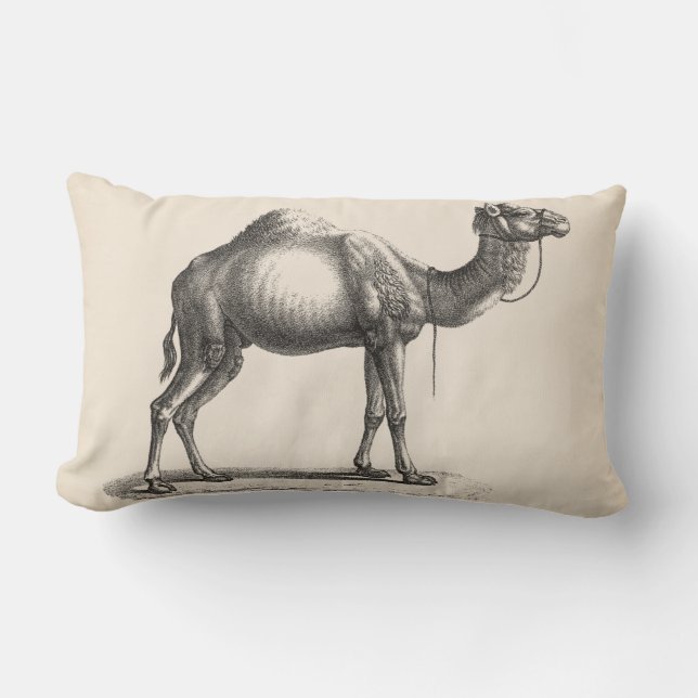 Almofada Lombar Brodtmann Dromedary Camel Sketch (Frente)
