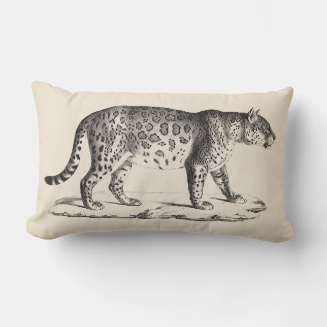Almofada Lombar Brodtmann Leopard Sketch (Frente)