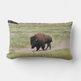 Almofada Lombar Buffalo em movimento, fotografia
