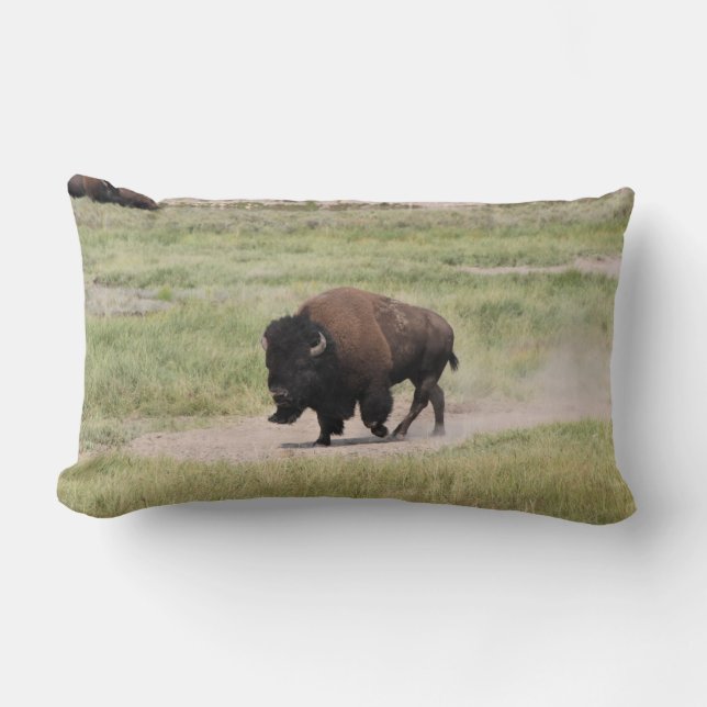 Almofada Lombar Buffalo em movimento, fotografia (Frente)