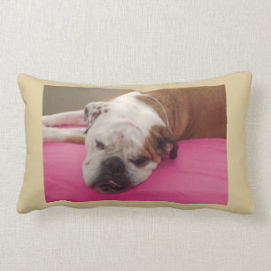 Almofada Lombar Buldogue inglês