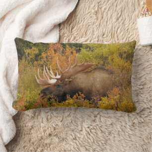 Almofada Lombar Bull Moose Parque Nacional Denali, Alasca