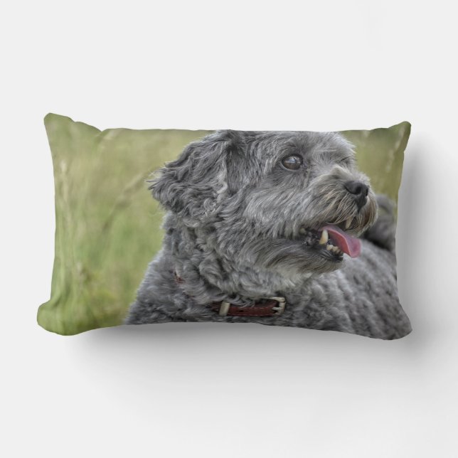 Almofada Lombar Cachorro Cortado Terrier (Frente)