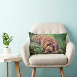Almofada Lombar Cachorro Dourado Fofo
