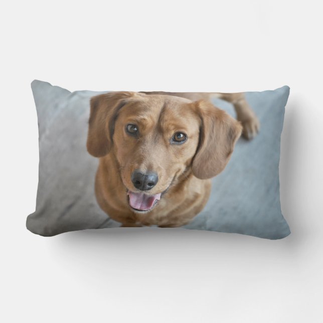 Almofada Lombar Cachorro Gelado (Frente)