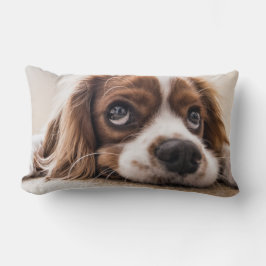 Almofada Lombar Cachorro Panelado De Olhos Tristes