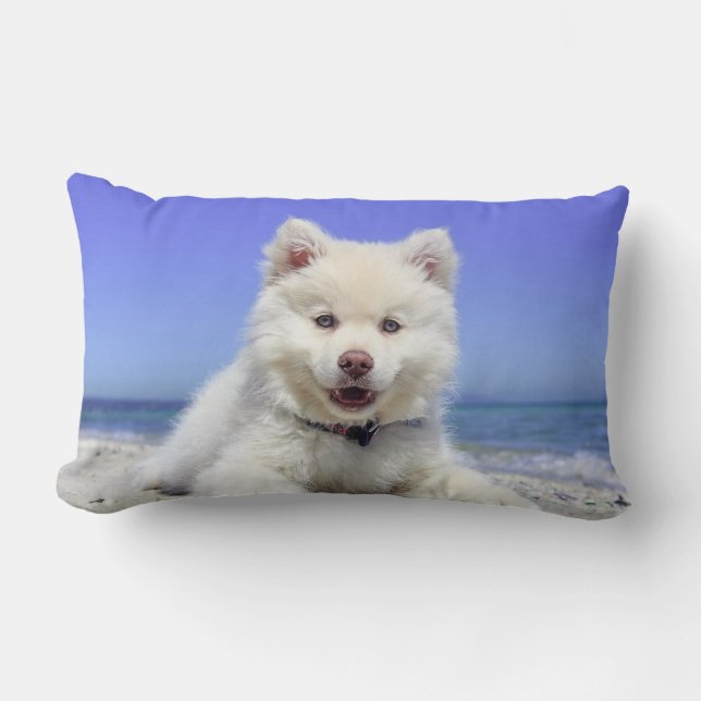 Almofada Lombar Cachorro Samoyed Bonito (Frente)