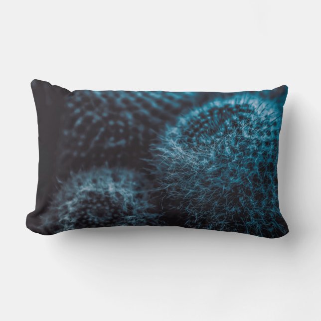 Almofada Lombar Cacto Escuro (Frente)