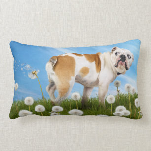 Almofada Lombar Cães com Dandelion