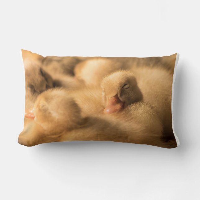 Almofada Lombar Camaradagem (Frente)