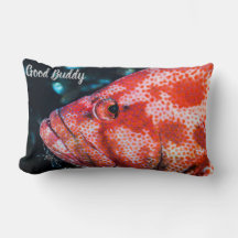 Camarão de Agrupamento e Limpeza