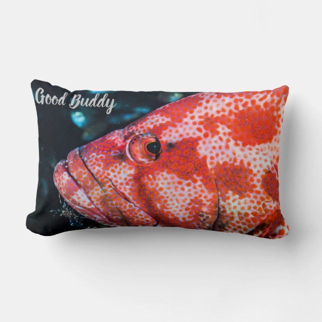 Almofada Lombar Camarão de Agrupamento e Limpeza (Frente)