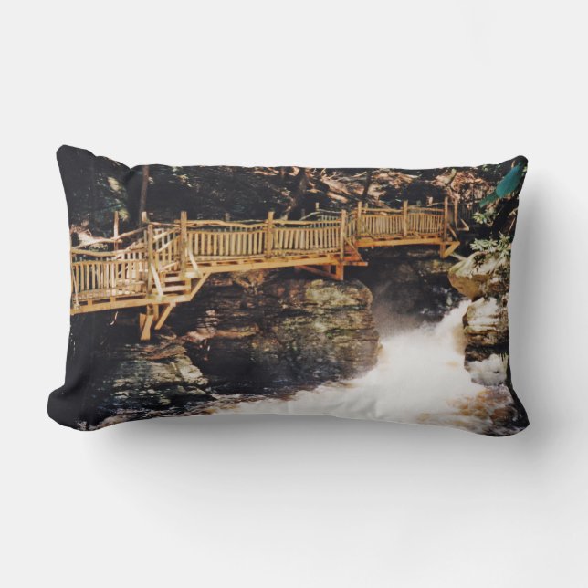 Almofada Lombar Caminho Perigoso (Frente)