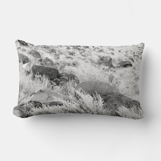 Almofada Lombar Campo de Basalt (Frente)