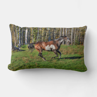 Almofada Lombar Canterna Pintor Cavalo e Árvores Equina Foto