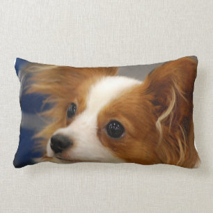 Almofada Lombar Cão bonito de Papillon