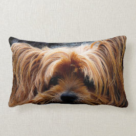 Almofada Lombar Cão bonito do yorkshire terrier