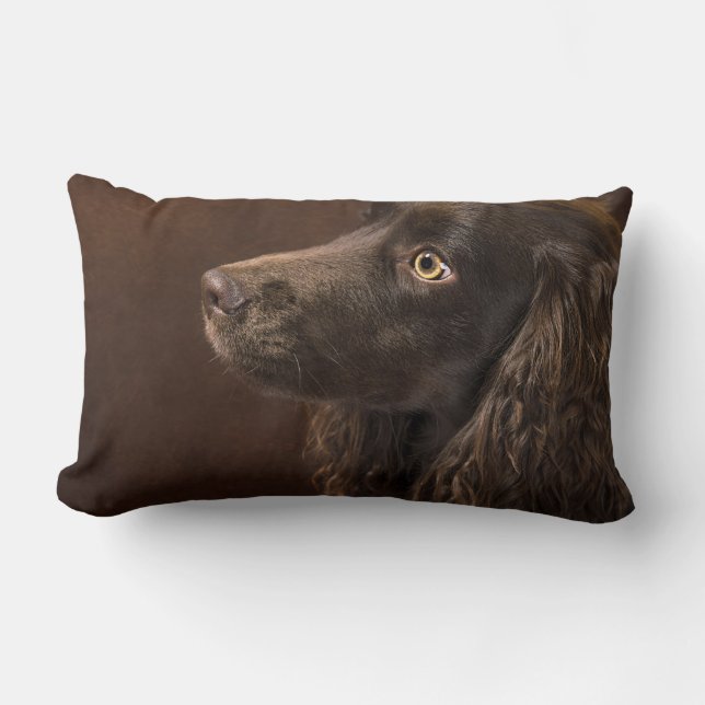 Almofada Lombar Cão De Cabelo Castanho (Frente)