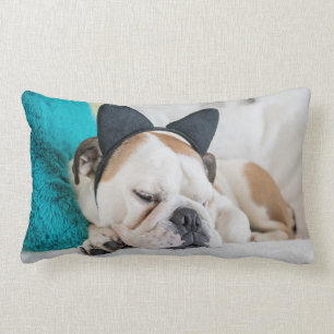 Almofada Lombar Cão sonolento das imagens de Getty com Headband