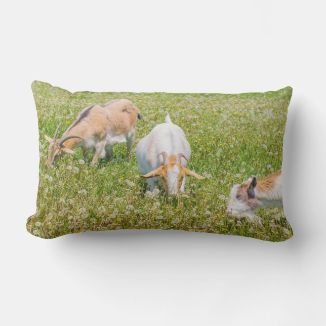 Almofada Lombar Caprinos Cachorros Verdes (Frente)