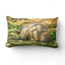 Capybara Fofa Sonha no Sol de Verão