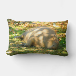 Almofada Lombar Capybara Fofa Sonha no Sol de Verão