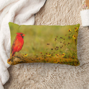 Almofada Lombar Cardinal macho em tronco