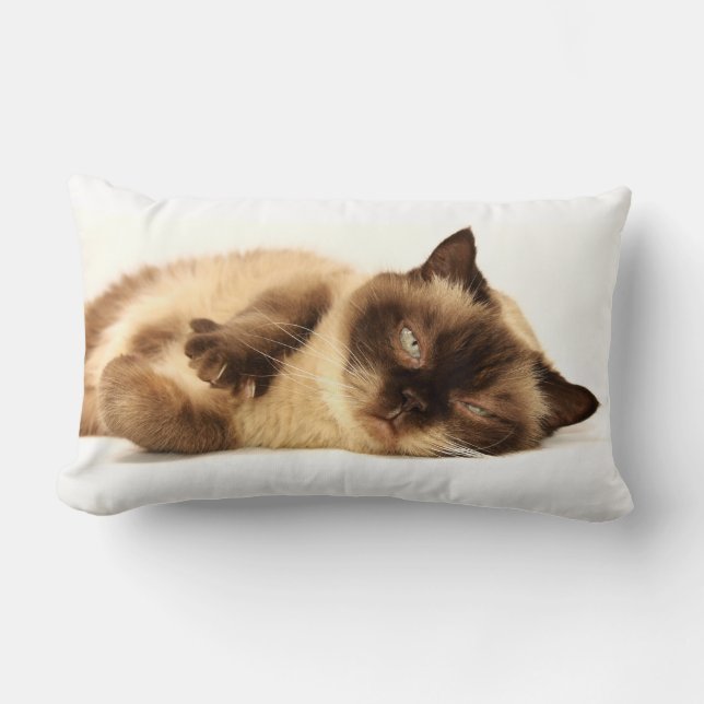 Almofada Lombar Cat Nap (Frente)