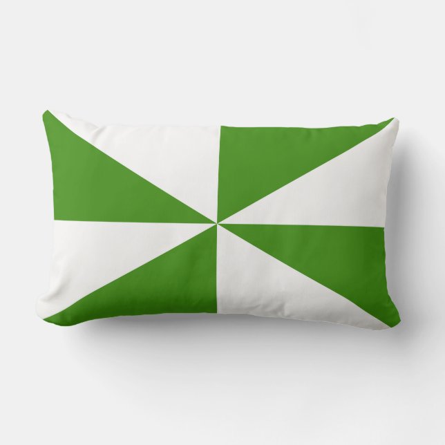 Almofada Lombar Cata-Vento Verde e Branco (Frente)